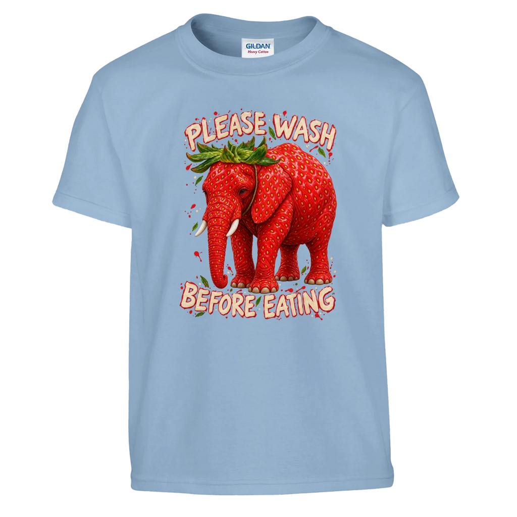 Strawberry Elephant print on a light blue kids t-shirt, front view