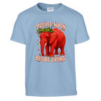 Strawberry Elephant print on a light blue kids t-shirt, front view