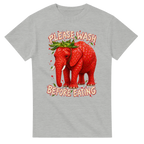 Ash t-shirt printed with Strawberry Elephant and the words Please wash before eating, front view