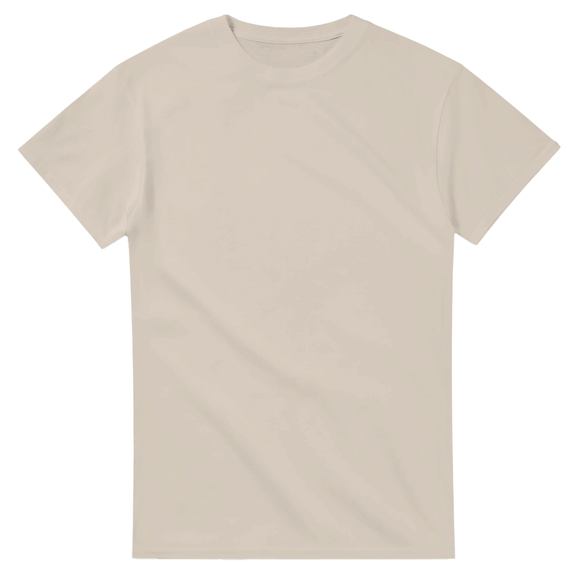 Sand t-shirt printed with Noobini Pizzanini and the words Pizza on, brain off, front view