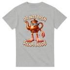 Ash t-shirt printed with Ta Ta Ta Sahur and the words Do not open, steam inside, front view