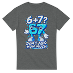 Graphite Heather t-shirt printed with 67 and the words 6 + 7? Don't ask how much, front view