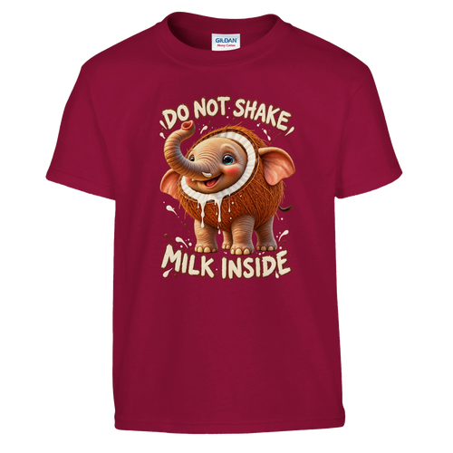 Cocofanto Elefanto print on a cardinal red kids t-shirt, front view