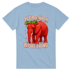 Light Blue t-shirt printed with Strawberry Elephant and the words Please wash before eating, front view